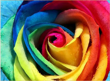 Schilderen op Nummer Bloemen PBN309